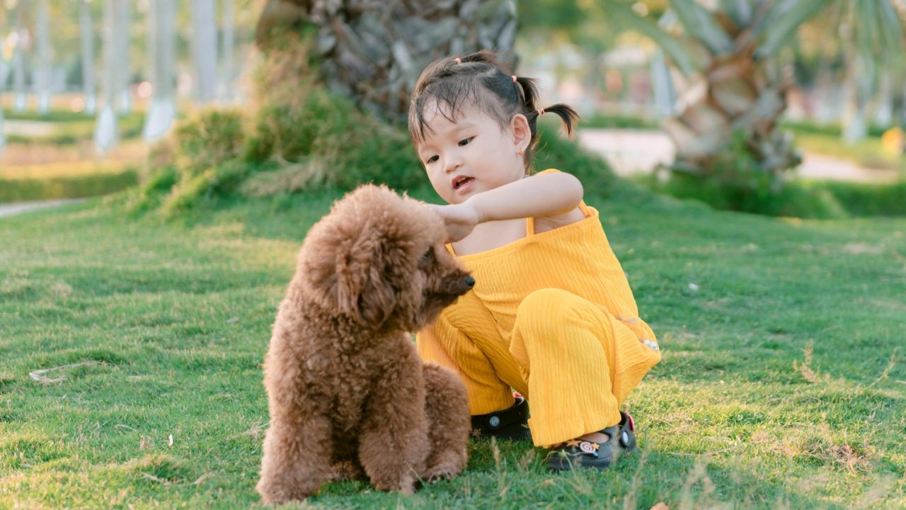 MindChamps Early Childhood Preschool Fosters Holistic Growth
