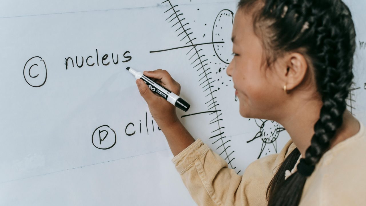 What Makes MindChamps PSLE Tuition Unique?
